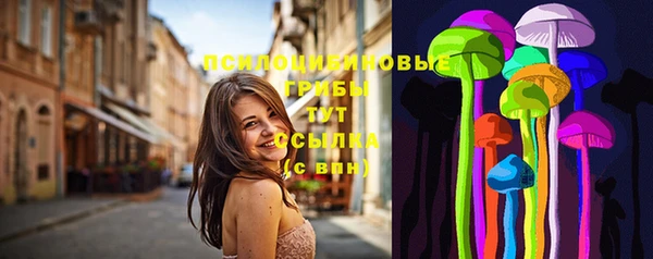 тгк Бородино