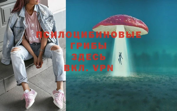 бошки Верея