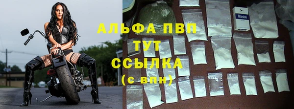 тгк Бородино