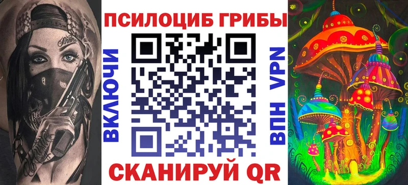 Галлюциногенные грибы Psilocybine cubensis  где продают   omg онион  Карасук 